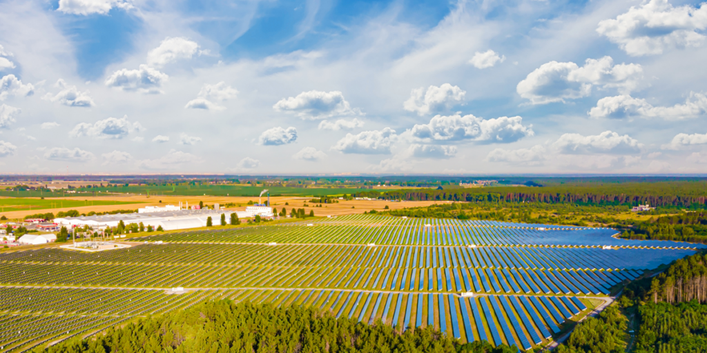 An expansive solar farm stretches across the landscape, marking a milestone in the REAP grant process, as chronicled in APC Solar's success story.