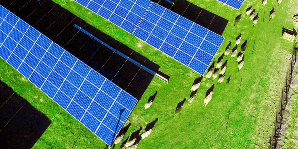 REAP Grant Success Advancing Renewable Energy with USDA