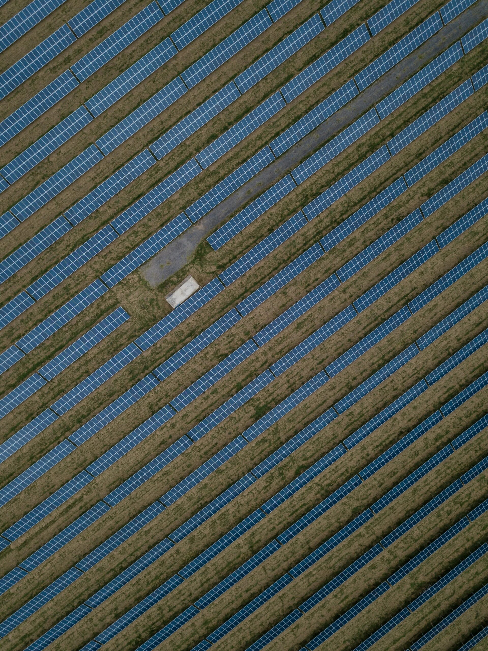 Aerial view of rows of solar panels in a Midwest solar farm, showcasing the large-scale installation in an agricultural field.